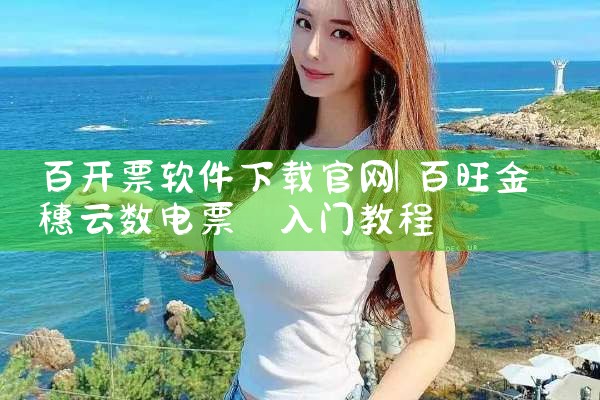 百开票软件下载官网