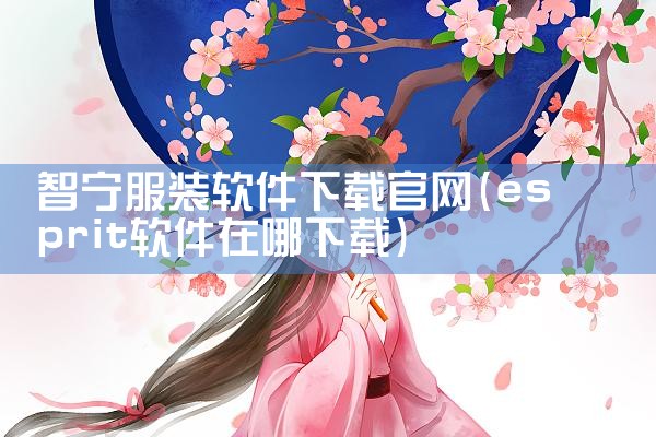 智宁服装软件下载官网