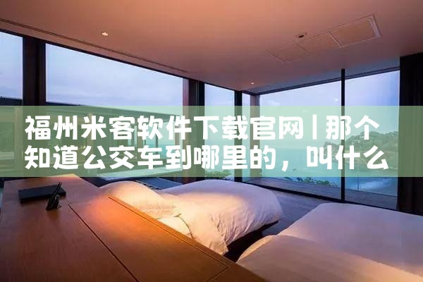 福州米客软件下载官网